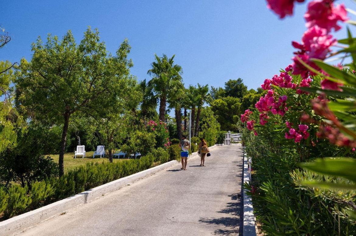 Aria Di Mare Vieste - Luxury Apartments By The Sea Buitenkant foto