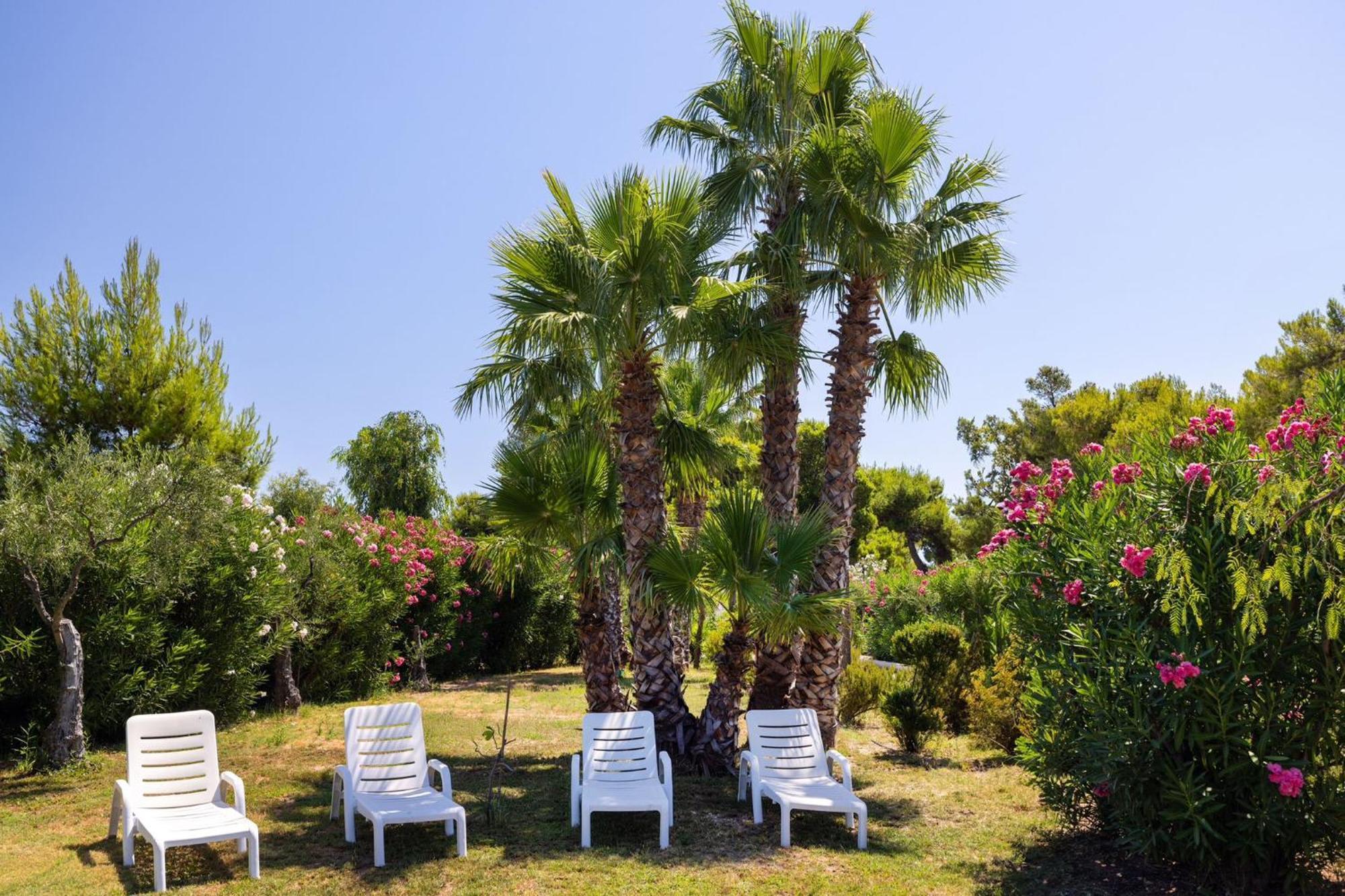 Aria Di Mare Vieste - Luxury Apartments By The Sea Buitenkant foto